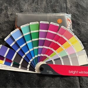 Color Swatch Fan TCI Bright Winter Fan